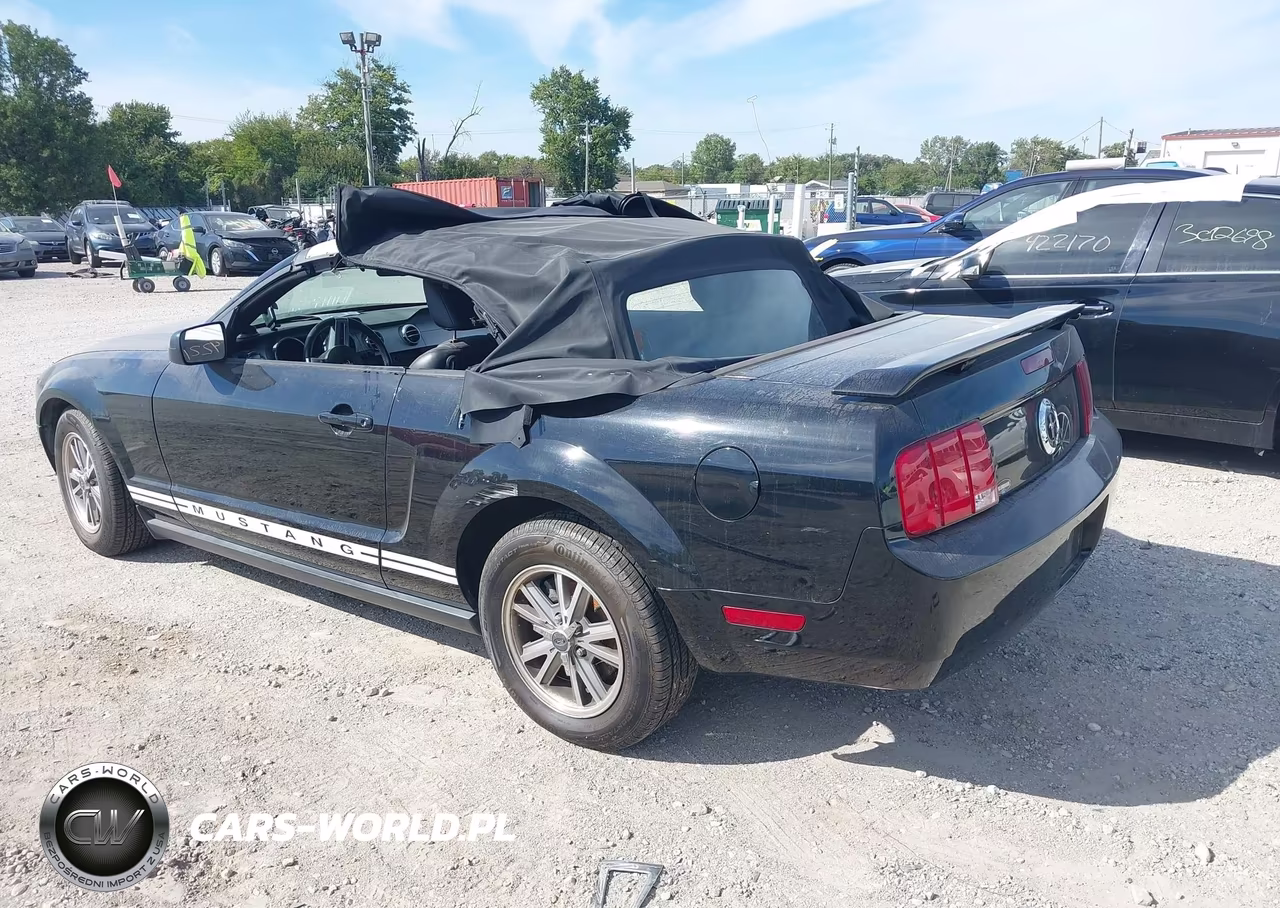 2005 Ford Mustang VIN:1ZVFT84N955234831 - 3
