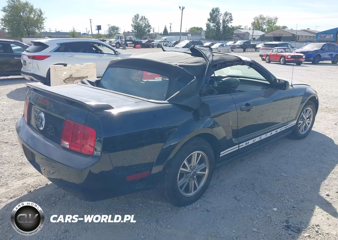 2005 Ford Mustang VIN:1ZVFT84N955234831 - 4