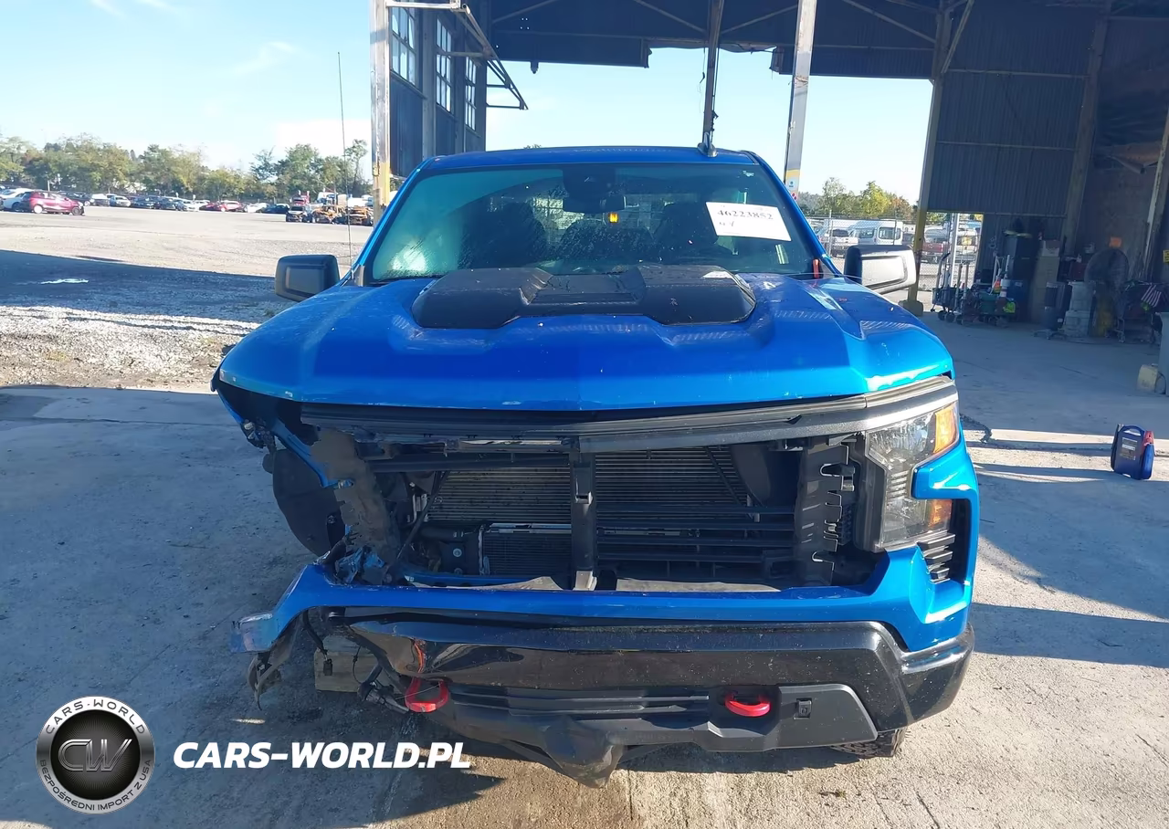 2022 Chevrolet Silverado 1500 4Wd Short Bed Custom Trail Boss VIN:3GCUDCET3NG656206 - 12