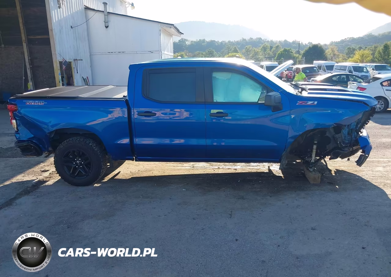 2022 Chevrolet Silverado 1500 4Wd Short Bed Custom Trail Boss VIN:3GCUDCET3NG656206 - 13