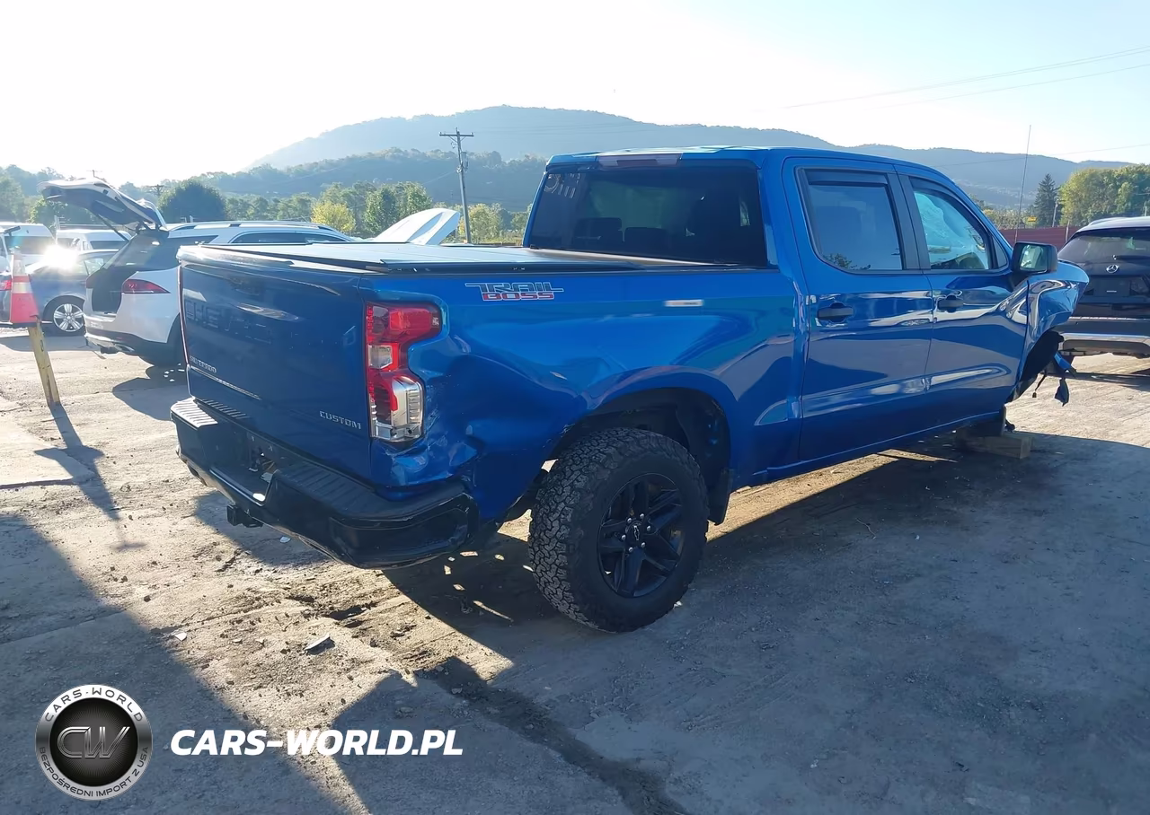 2022 Chevrolet Silverado 1500 4Wd Short Bed Custom Trail Boss VIN:3GCUDCET3NG656206 - 4