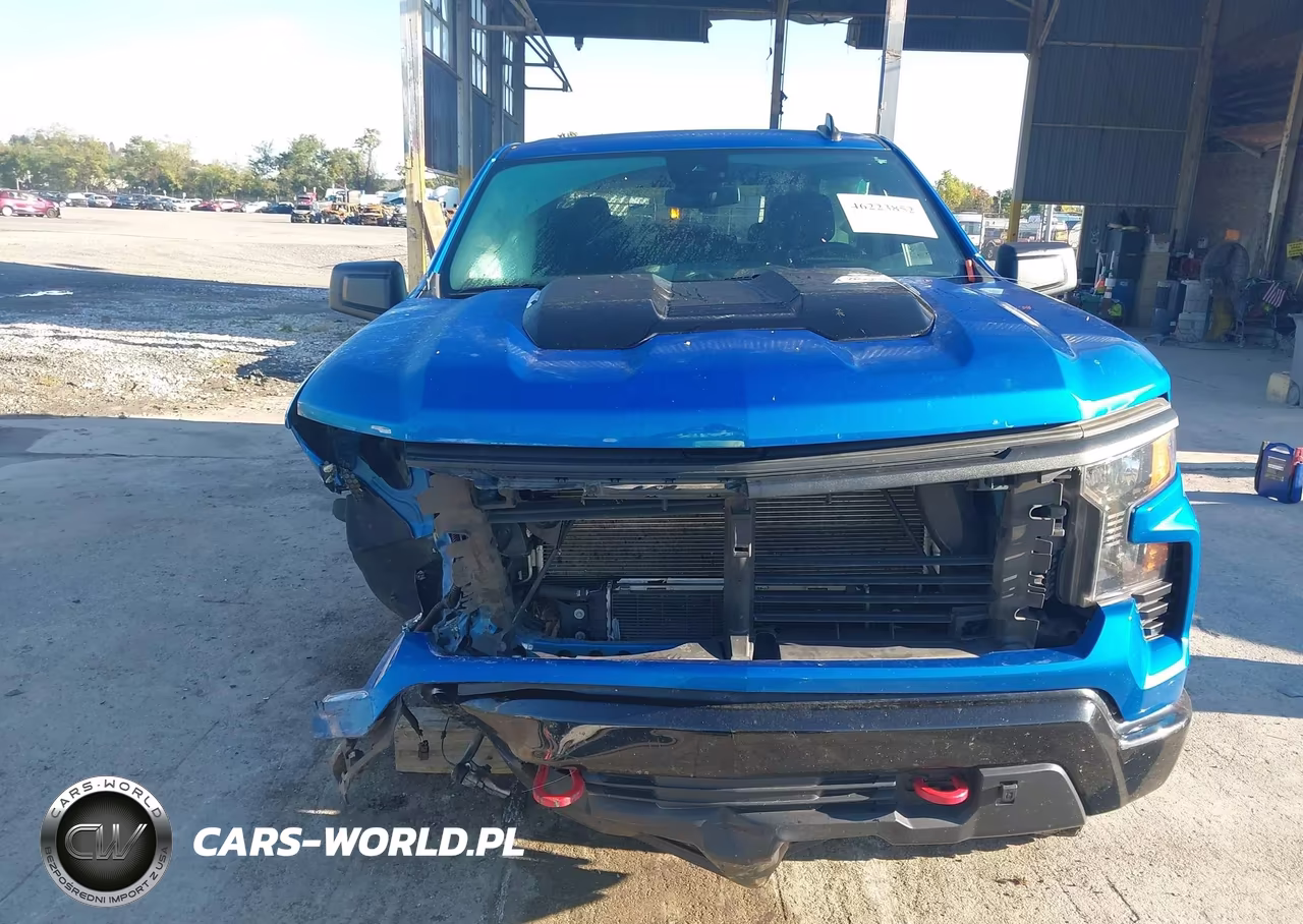 2022 Chevrolet Silverado 1500 4Wd Short Bed Custom Trail Boss VIN:3GCUDCET3NG656206 - 6