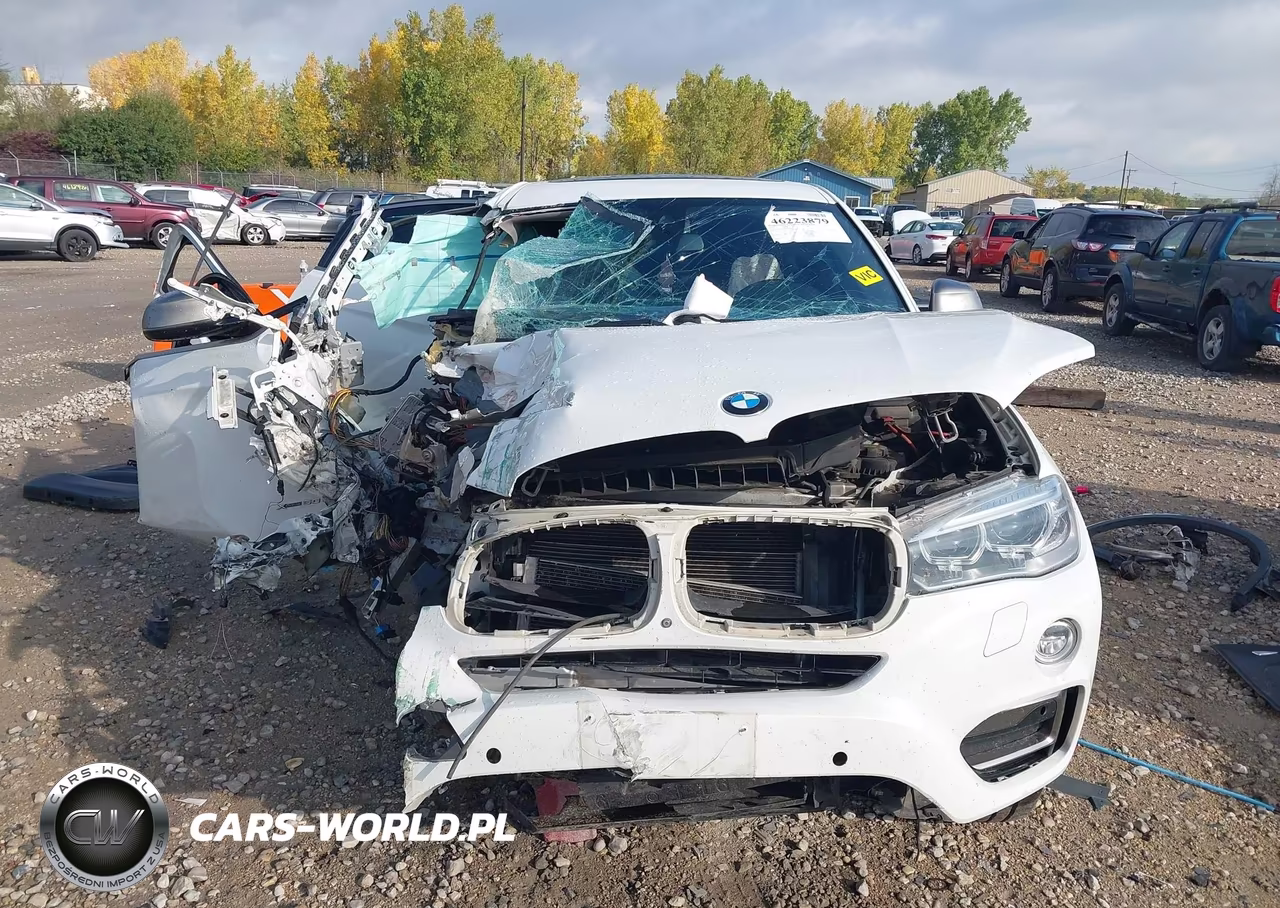 2016 BMW X6 xDrive50I VIN:5UXKU6C57G0R34415 - 11