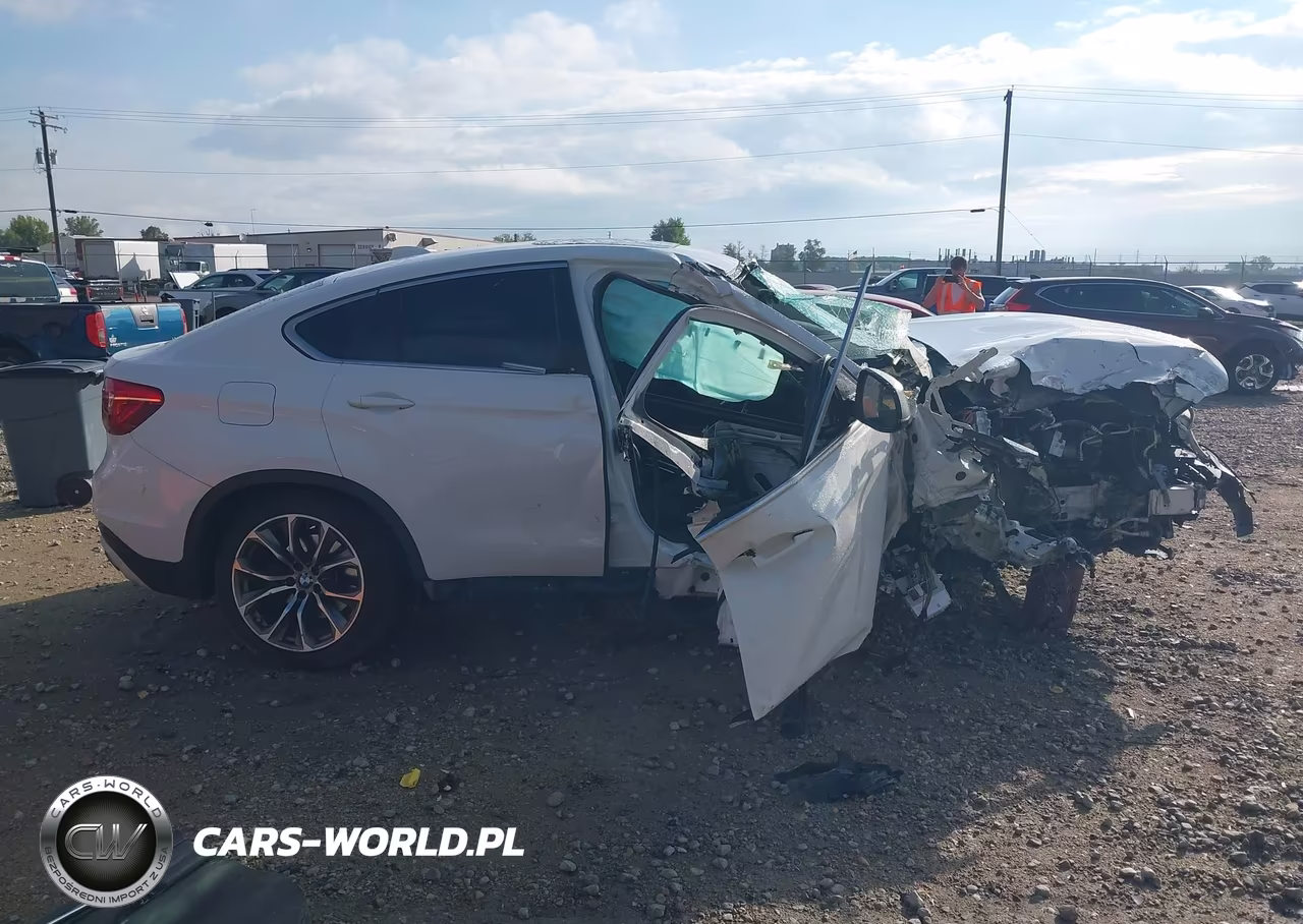 2016 BMW X6 xDrive50I VIN:5UXKU6C57G0R34415 - 12