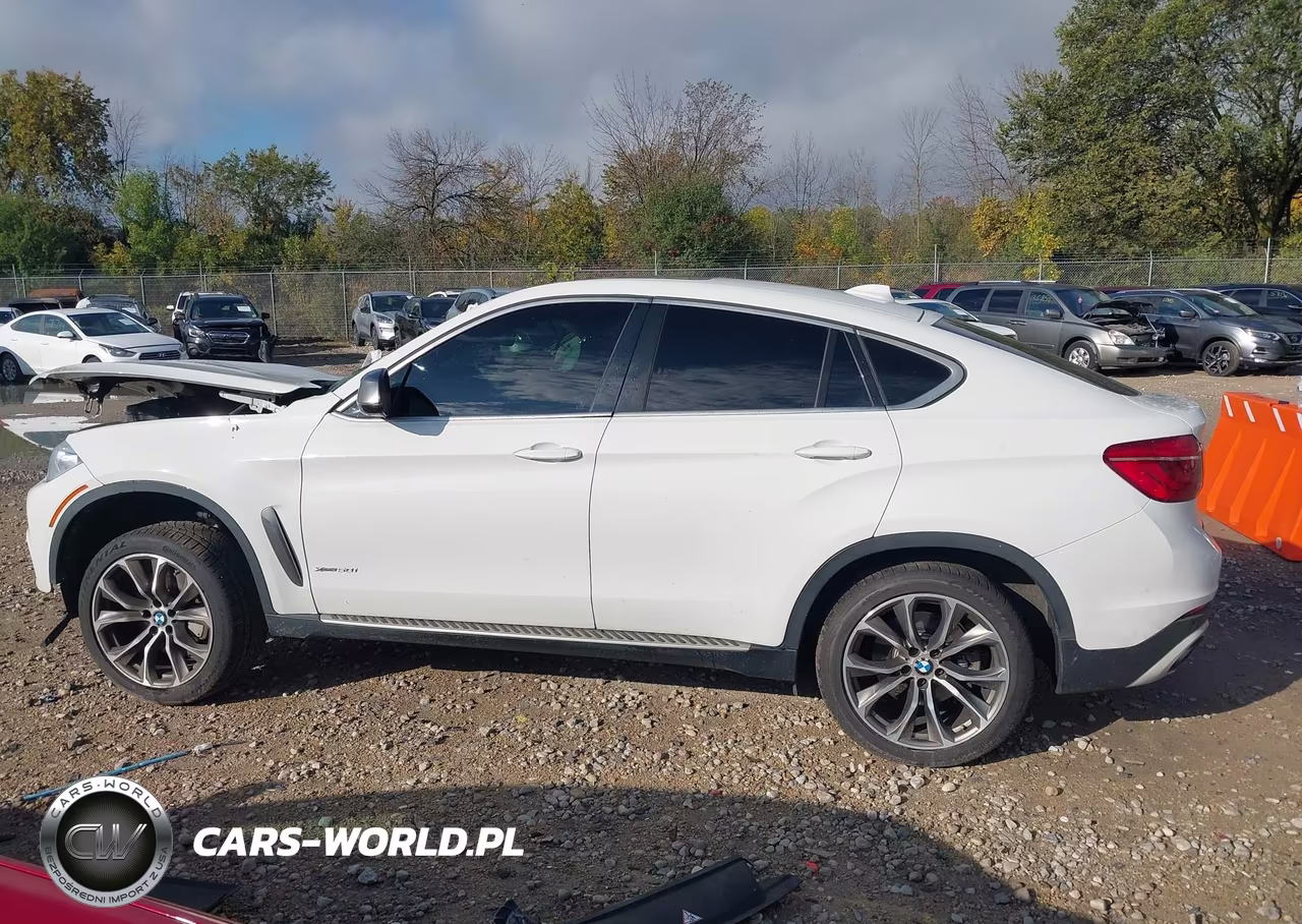 2016 BMW X6 xDrive50I VIN:5UXKU6C57G0R34415 - 13