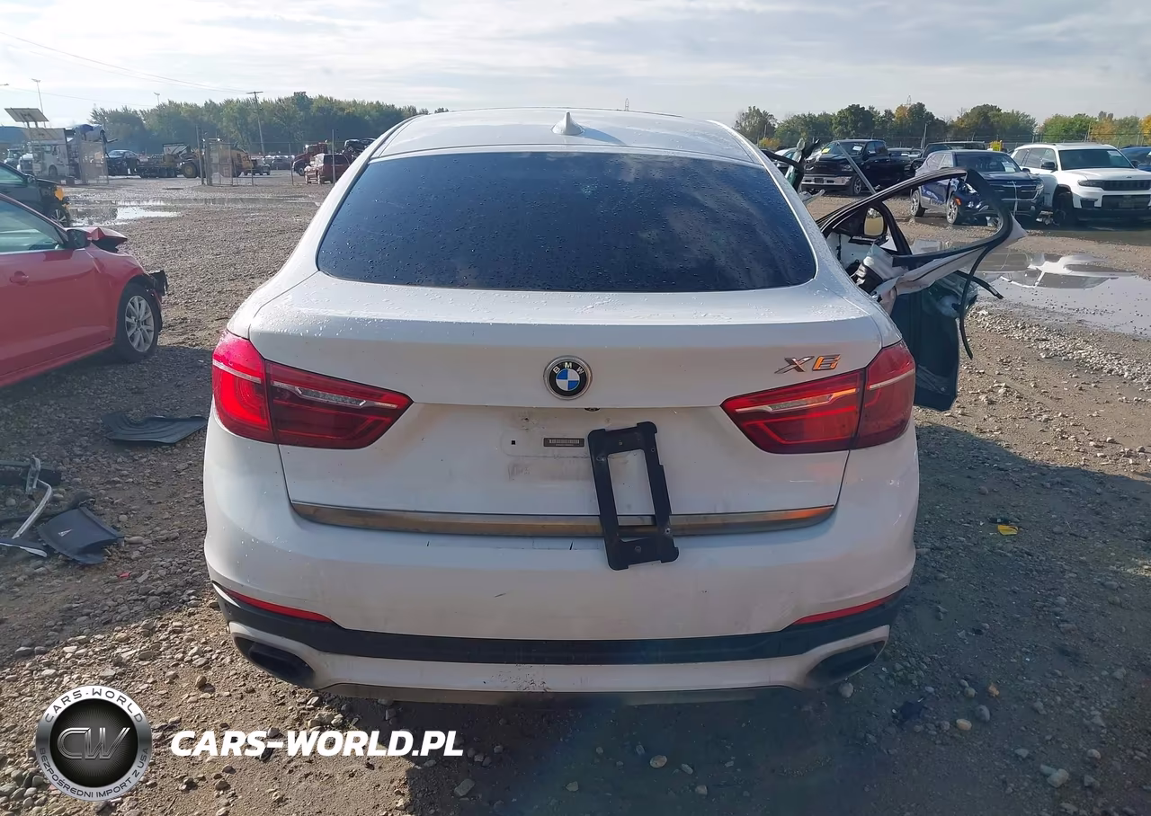 2016 BMW X6 xDrive50I VIN:5UXKU6C57G0R34415 - 15