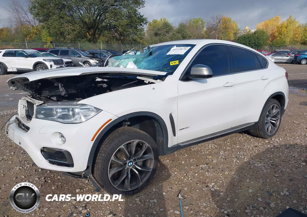 2016 BMW X6 xDrive50I VIN:5UXKU6C57G0R34415 - 2