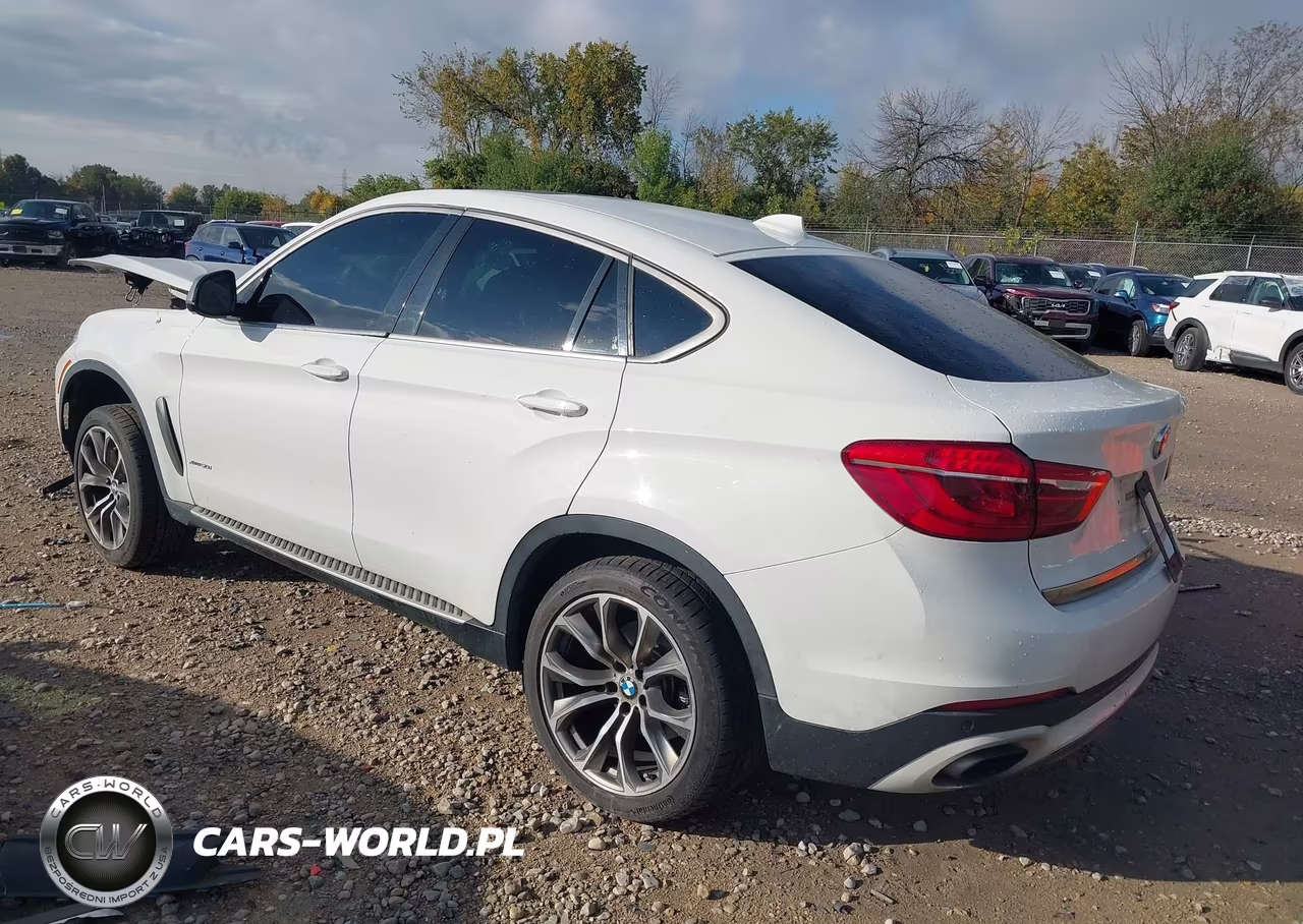 2016 BMW X6 xDrive50I VIN:5UXKU6C57G0R34415 - 3