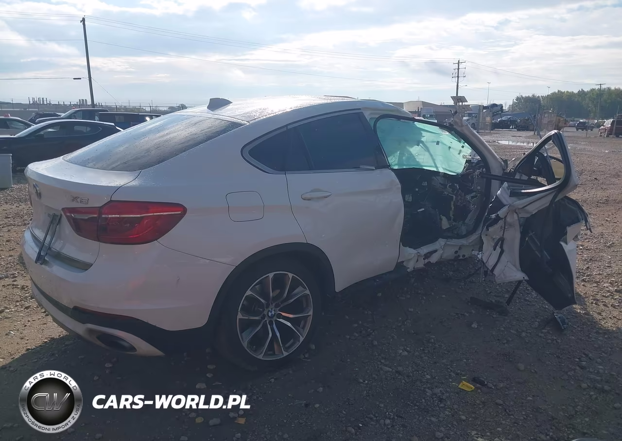 2016 BMW X6 xDrive50I VIN:5UXKU6C57G0R34415 - 4