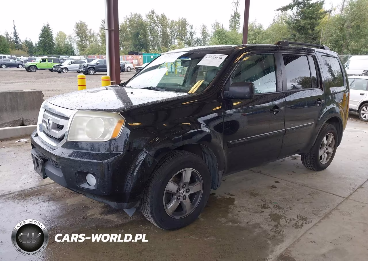 2009 Honda Pilot Ex-L VIN:5FNYF48589B024943 - 2