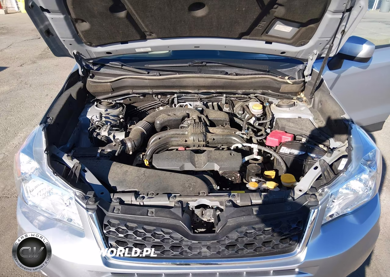 2015 Subaru Forester 2.5I Premium VIN:JF2SJAGCXFH502814 - 10