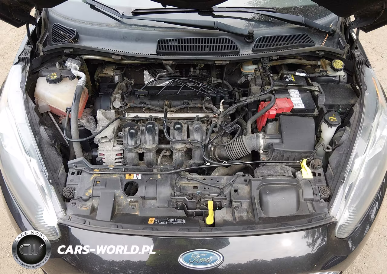 2014 Ford Fiesta Se VIN:3FADP4BJ7EM226282 - 10