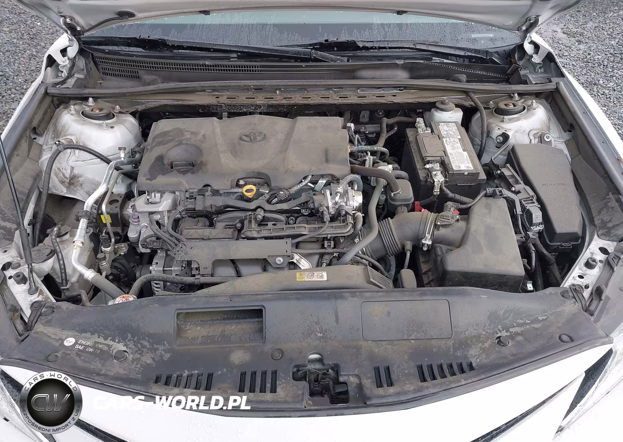 2023 Toyota Camry Le VIN:4T1R11AK9PU138581 - 10
