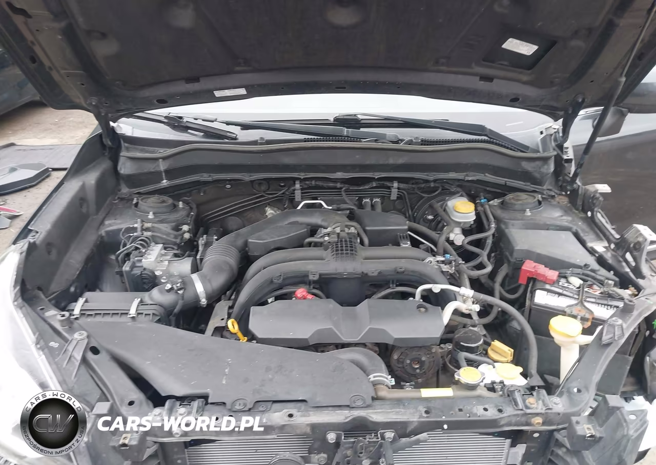 2017 Subaru Forester 2.5I Touring VIN:JF2SJAWC9HH433196 - 10