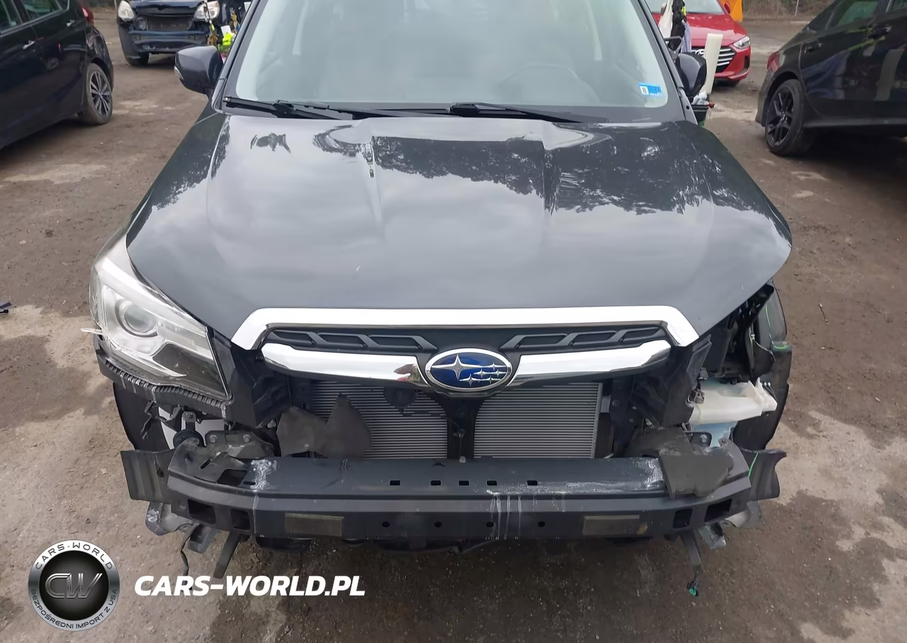 2017 Subaru Forester 2.5I Touring VIN:JF2SJAWC9HH433196 - 6