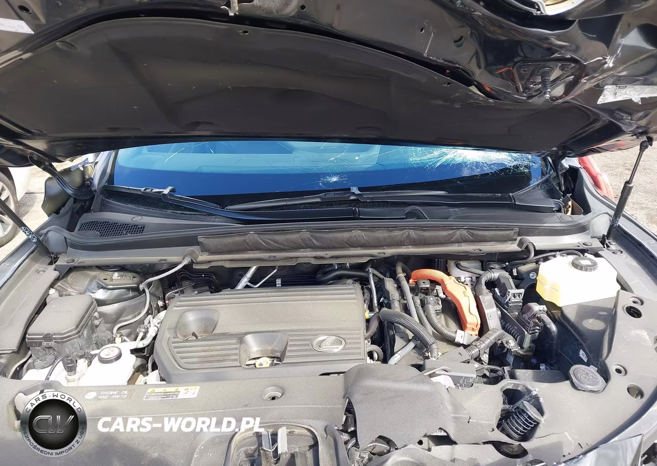 2024 Lexus Rx 350H Premium Plus VIN:2T2BBMCA0RC036199 - 10
