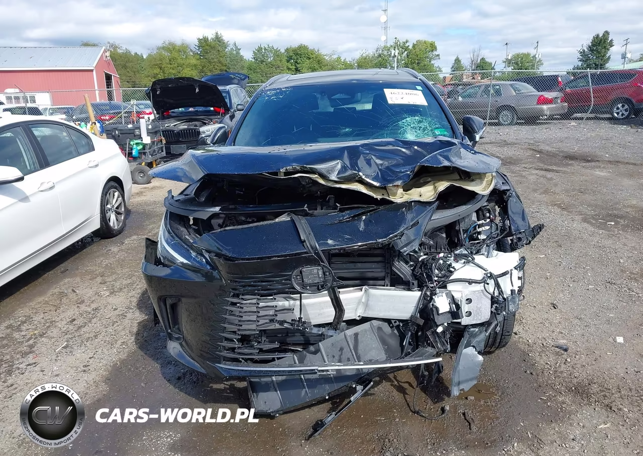 2024 Lexus Rx 350H Premium Plus VIN:2T2BBMCA0RC036199 - 6