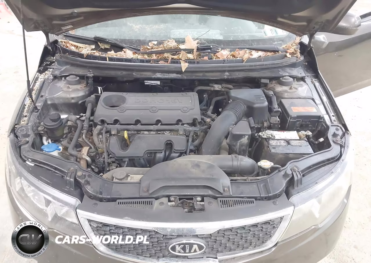2011 Kia Forte Ex VIN:KNAFU4A24B5455538 - 10