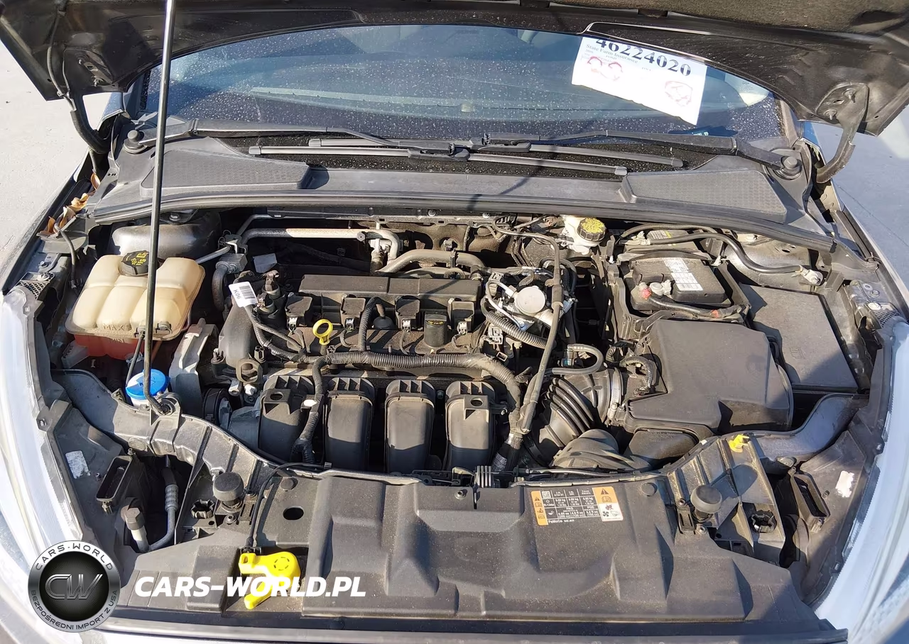 2016 Ford Focus Se VIN:1FADP3F26GL331767 - 10