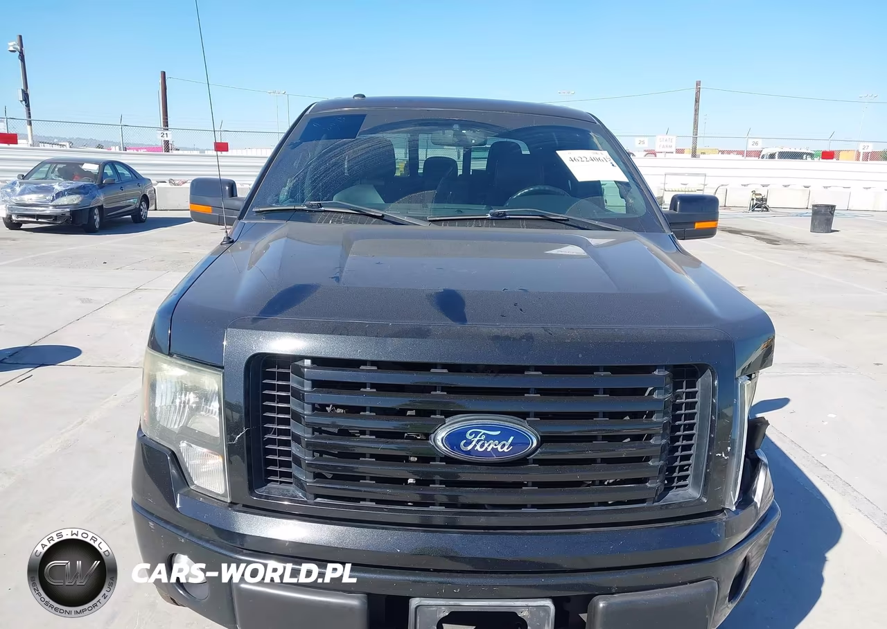 2012 Ford F-150 Fx4 VIN:1FTFW1EF0CFB65138 - 12