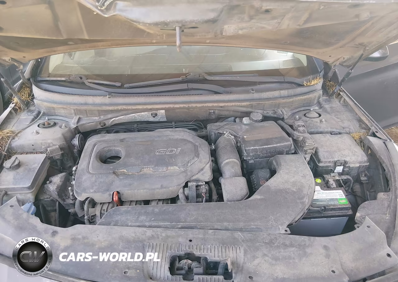 2016 Hyundai Sonata VIN:5NPE24AF6GH408302 - 10