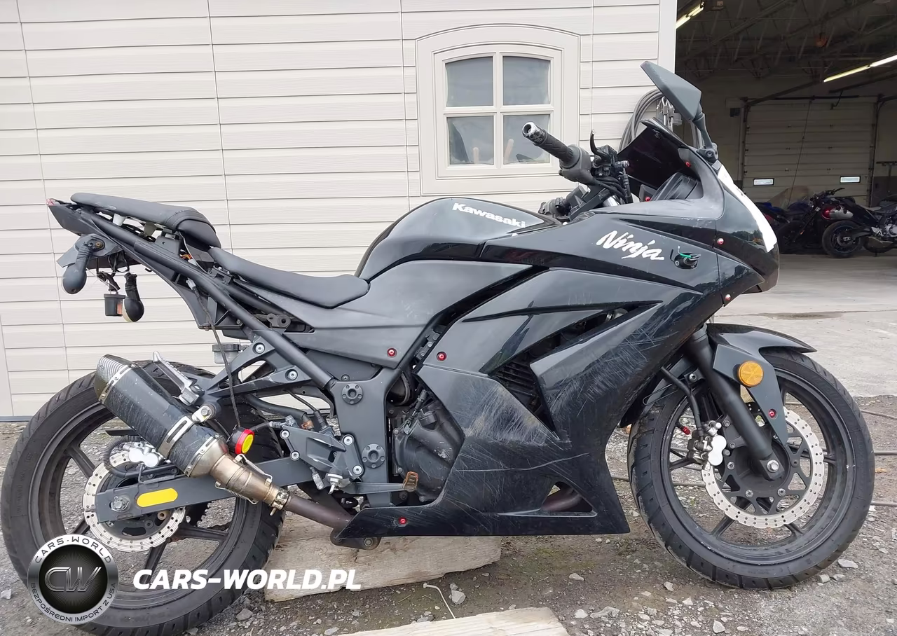 2008 Kawasaki Ex250 J VIN:JKAEXMJ148DA11326 - 12