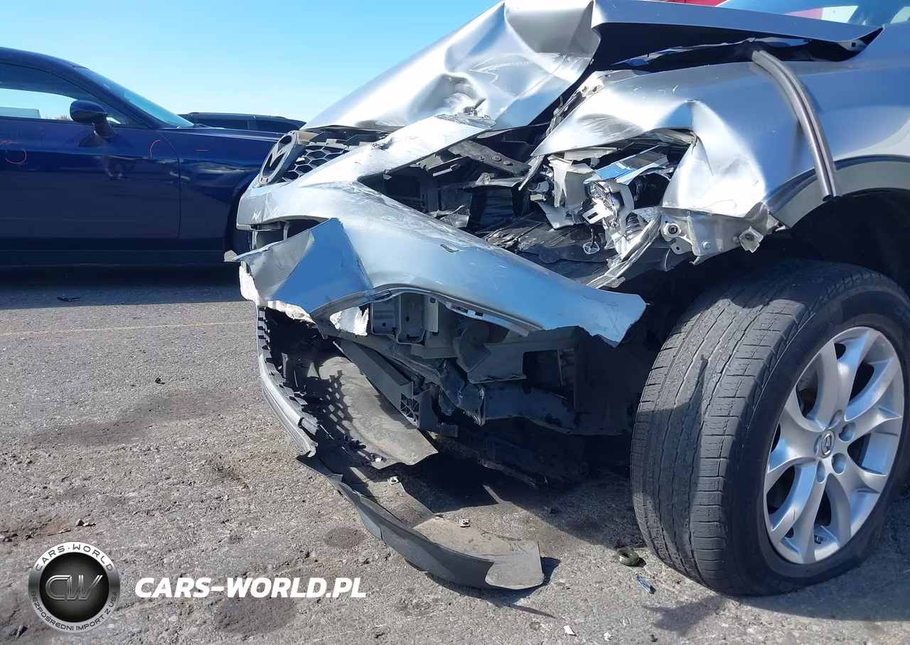 2011 Mazda Cx-9 Touring VIN:JM3TB3CV4B0332579 - 15