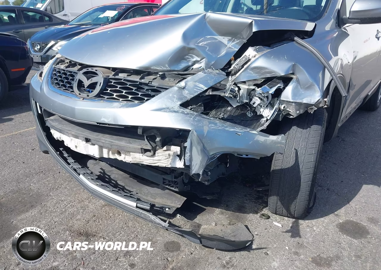 2011 Mazda Cx-9 Touring VIN:JM3TB3CV4B0332579 - 6