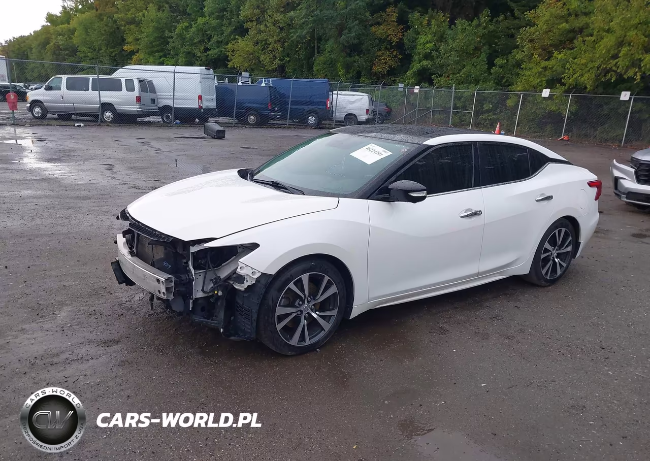 2017 Nissan Maxima 3.5 Platinum VIN:1N4AA6AP9HC449743 - 2