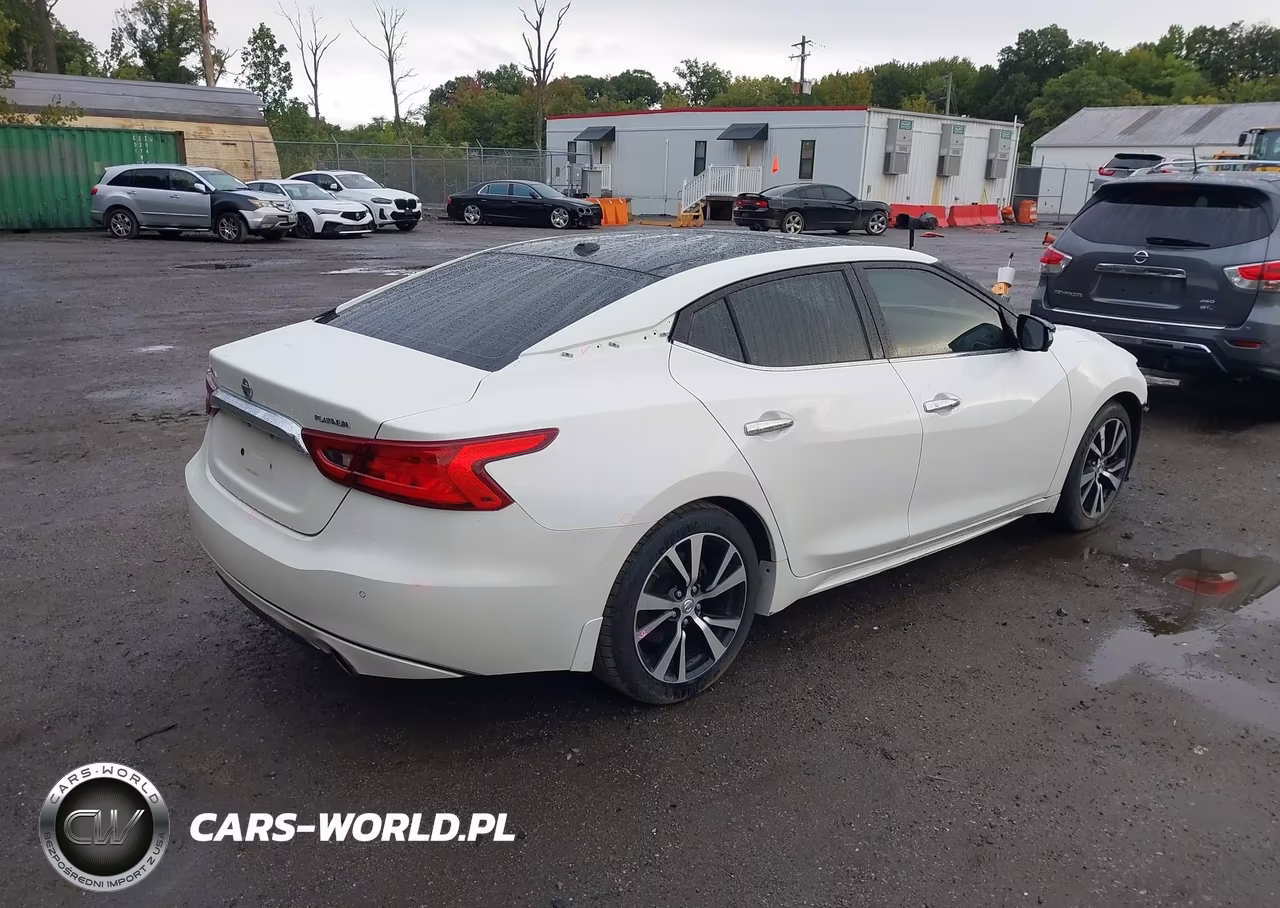 2017 Nissan Maxima 3.5 Platinum VIN:1N4AA6AP9HC449743 - 4