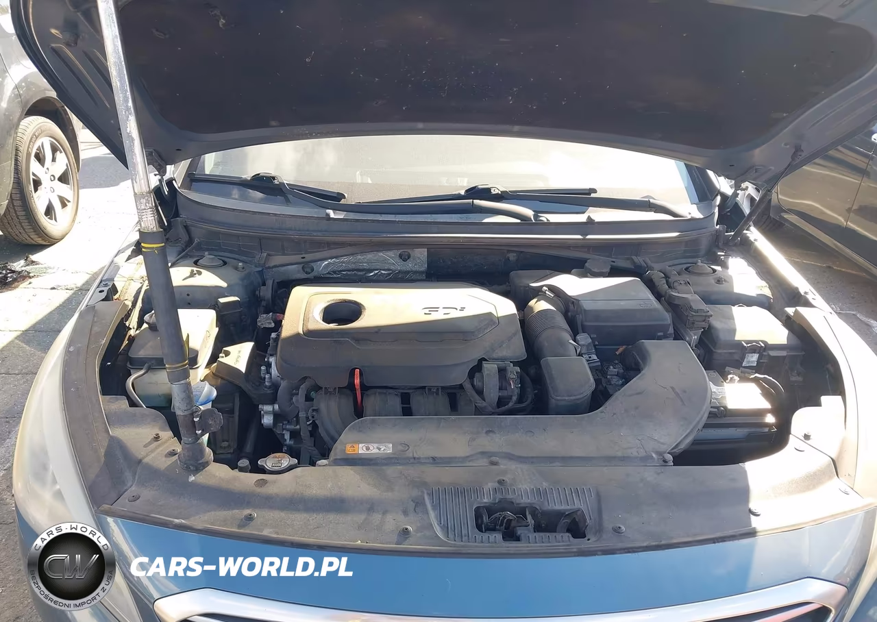 2015 Hyundai Sonata 2.4L Se VIN:5NPE24AF5FH205612 - 10