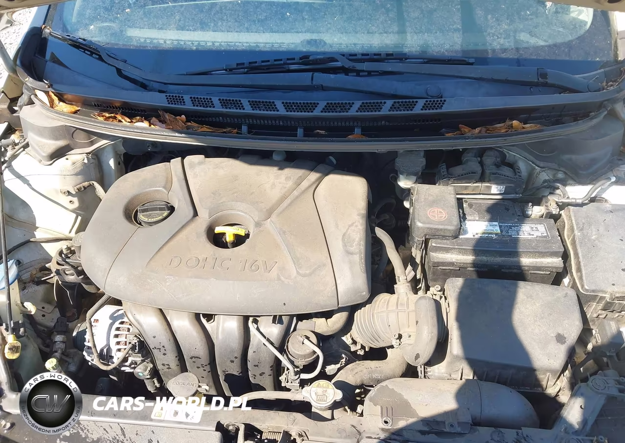 2014 Kia Forte Lx VIN:KNAFK4A65E5135061 - 10