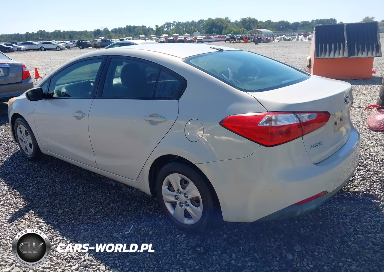 2014 Kia Forte Lx VIN:KNAFK4A65E5135061 - 3