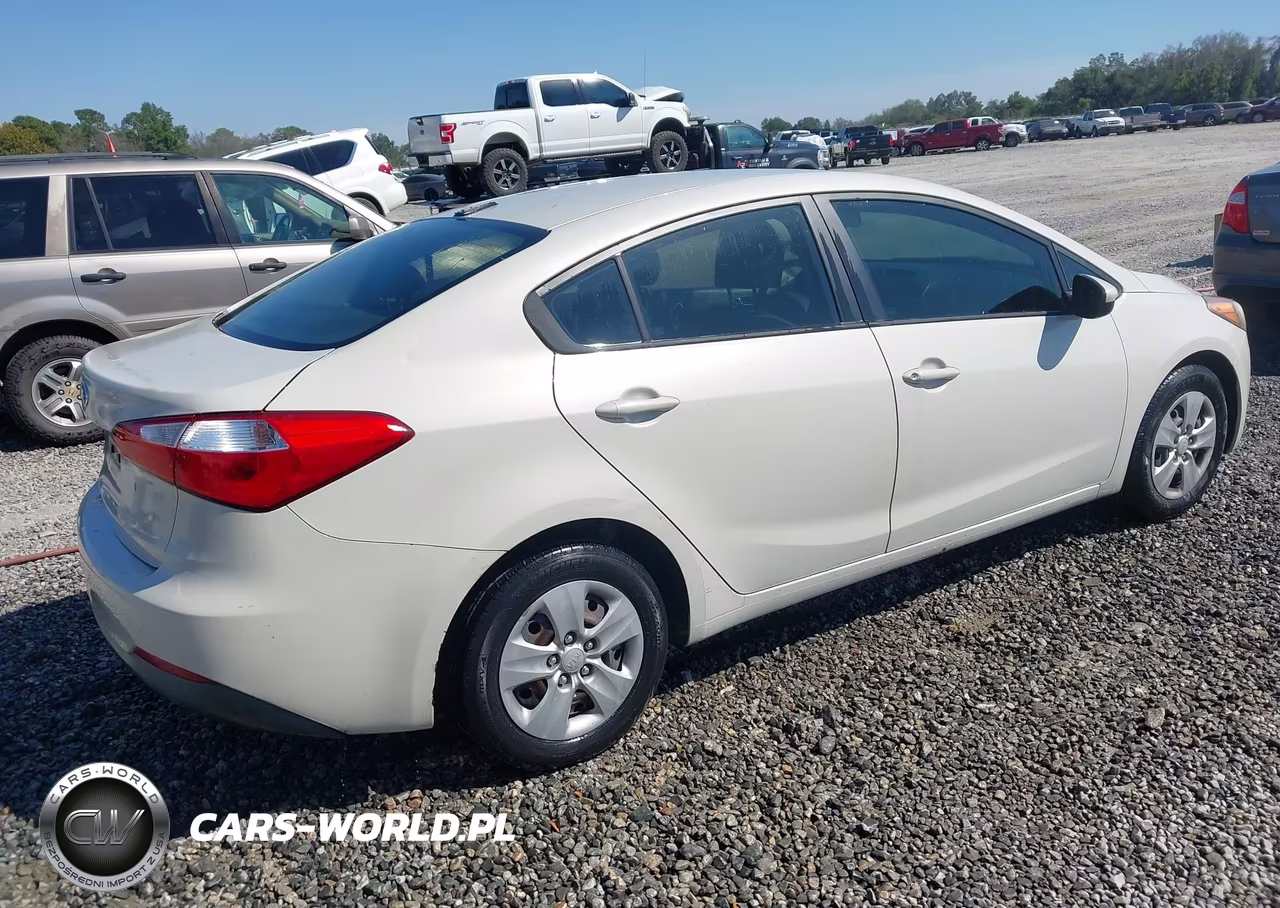 2014 Kia Forte Lx VIN:KNAFK4A65E5135061 - 4