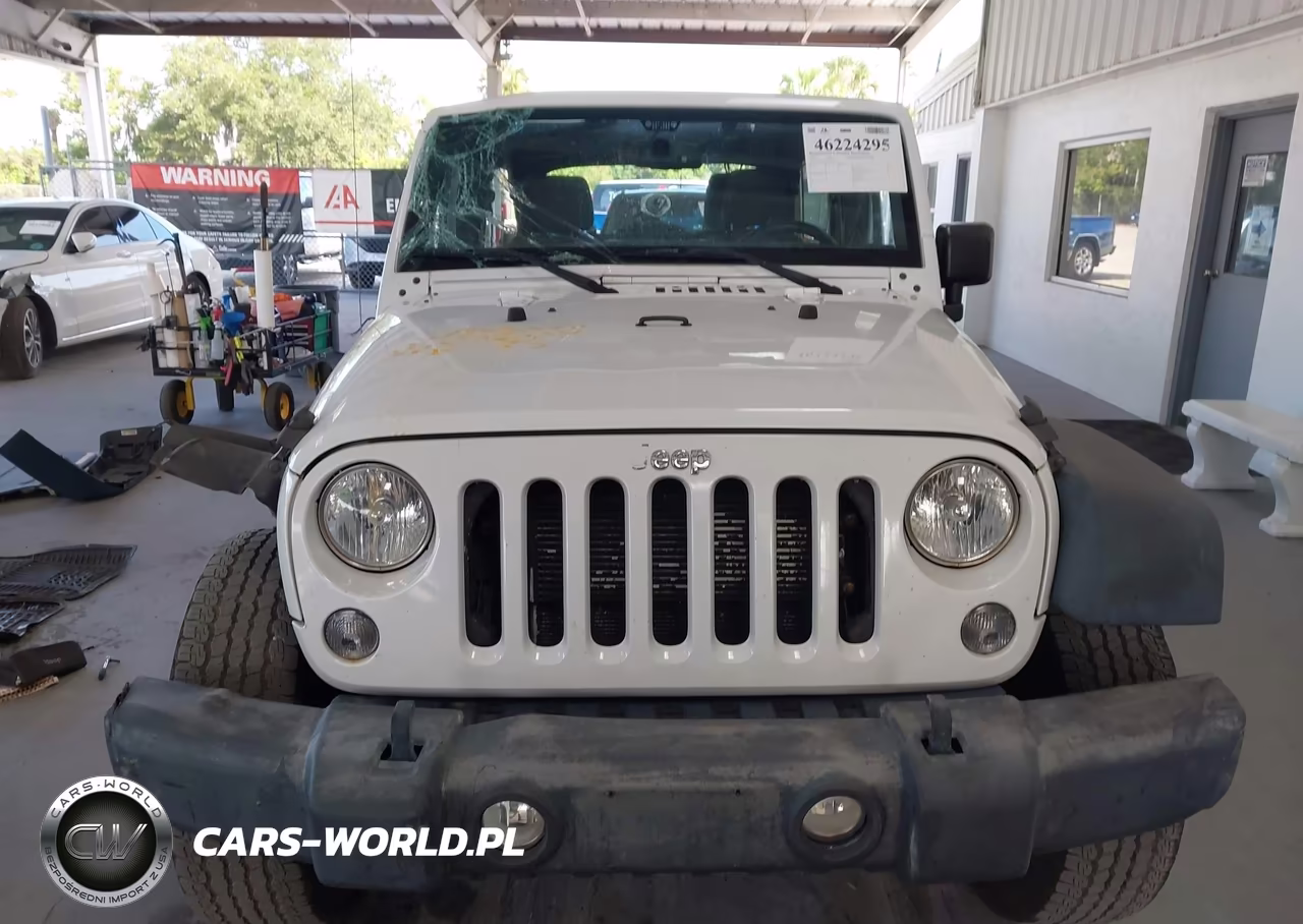 2017 Jeep Wrangler Unlimited Sport 4X4 VIN:1C4BJWDG6HL513618 - 13