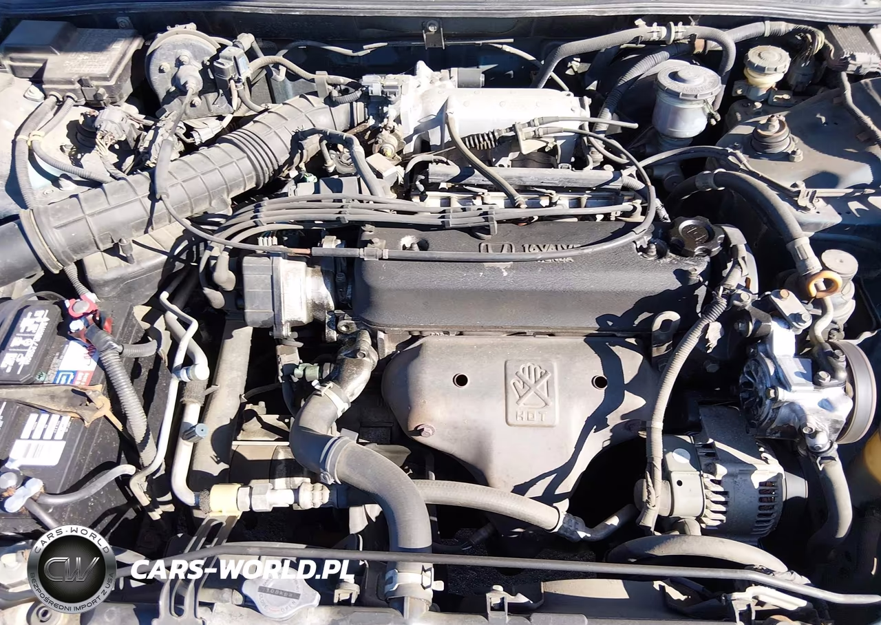 1994 Honda Accord Lx VIN:JHMCD553XRC104510 - 10