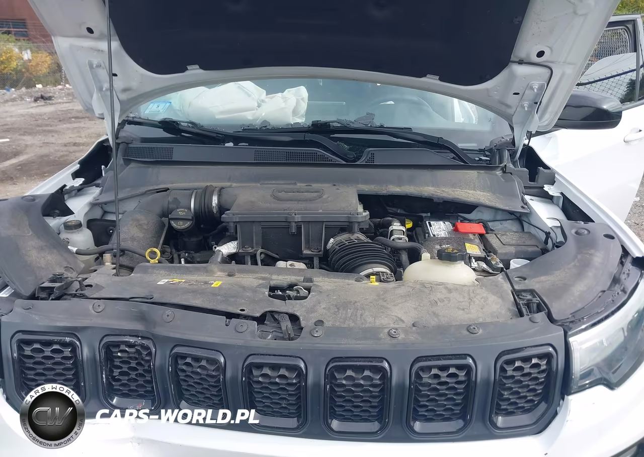2023 Jeep Compass Altitude 4X4 VIN:3C4NJDBN7PT502150 - 10
