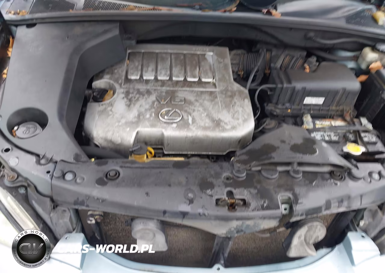 2007 Lexus Rx 350 VIN:2T2HK31U67C019213 - 10