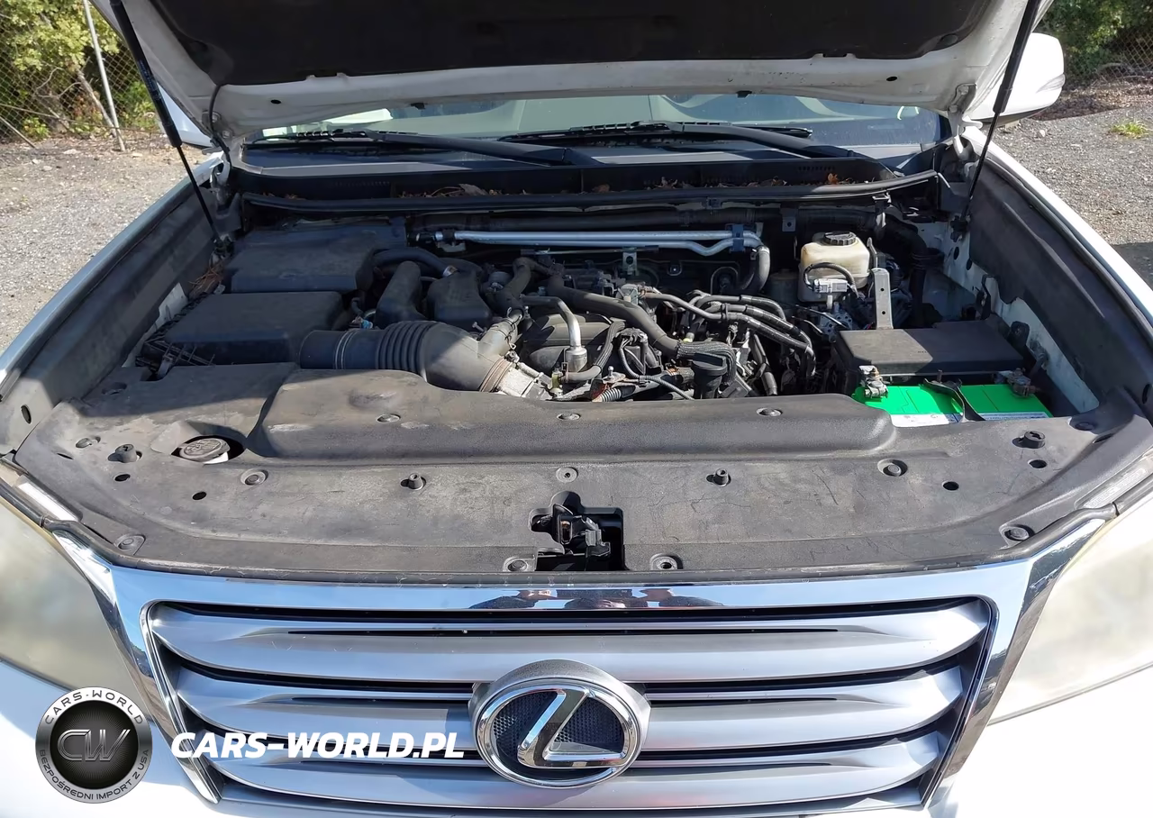2010 Lexus Gx 460 Premium VIN:JTJJM7FX5A5013821 - 10