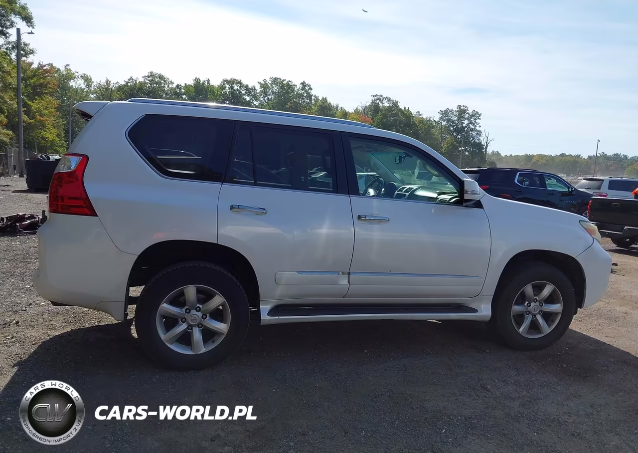 2010 Lexus Gx 460 Premium VIN:JTJJM7FX5A5013821 - 13