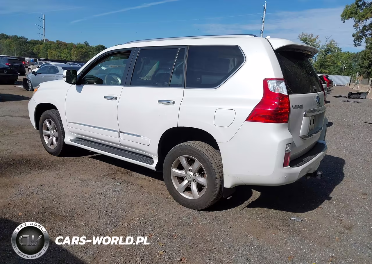 2010 Lexus Gx 460 Premium VIN:JTJJM7FX5A5013821 - 3