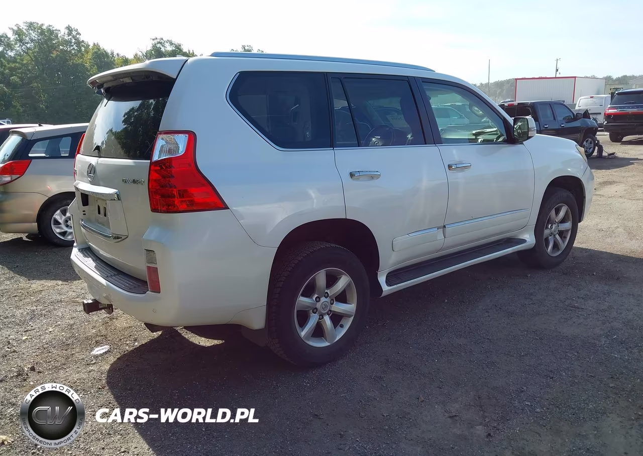 2010 Lexus Gx 460 Premium VIN:JTJJM7FX5A5013821 - 4