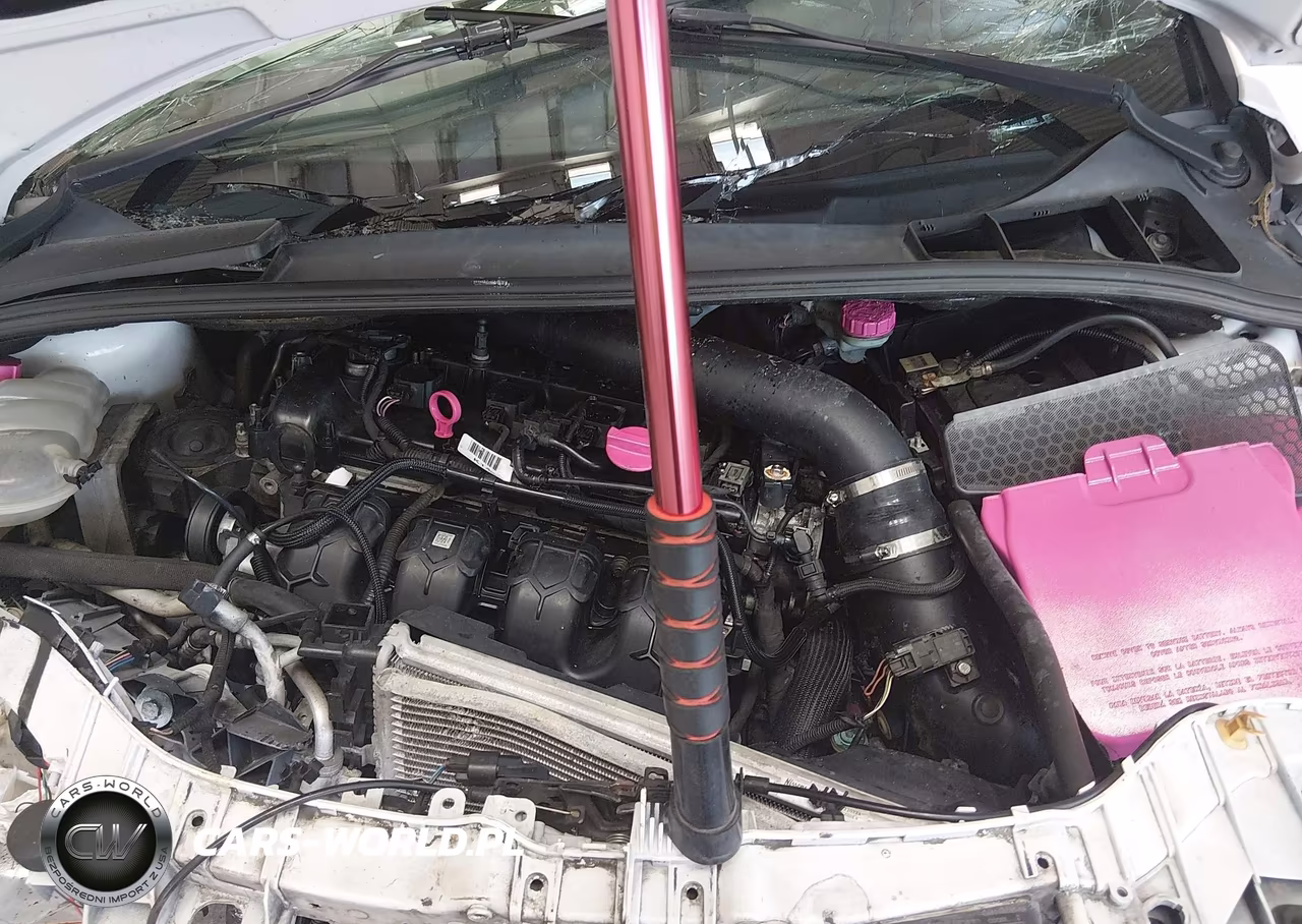 2014 Ford Focus St VIN:1FADP3L99EL442392 - 10