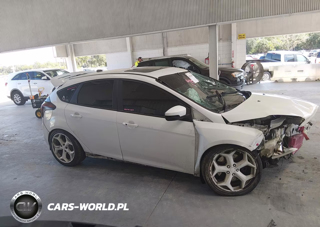 2014 Ford Focus St VIN:1FADP3L99EL442392 - 14