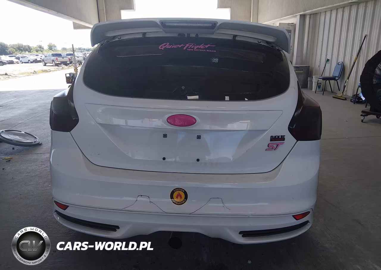 2014 Ford Focus St VIN:1FADP3L99EL442392 - 17