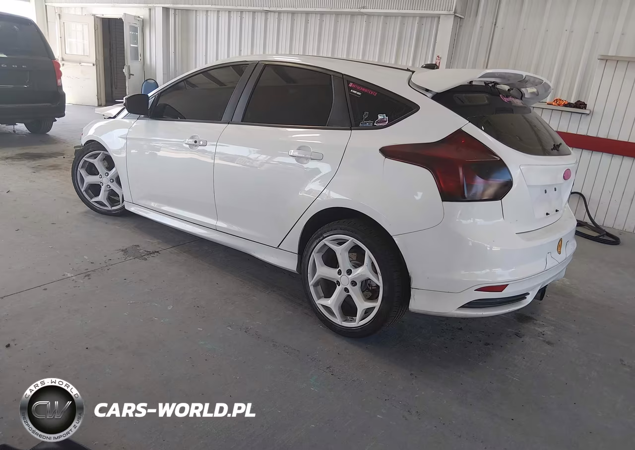 2014 Ford Focus St VIN:1FADP3L99EL442392 - 3