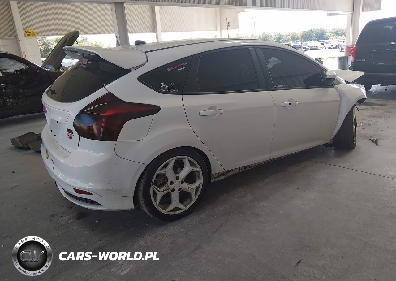 2014 Ford Focus St VIN:1FADP3L99EL442392 - 4