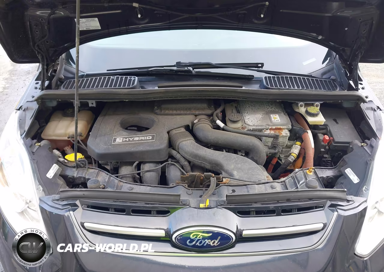 2014 Ford C-Max Hybrid Se VIN:1FADP5AU2EL519297 - 10
