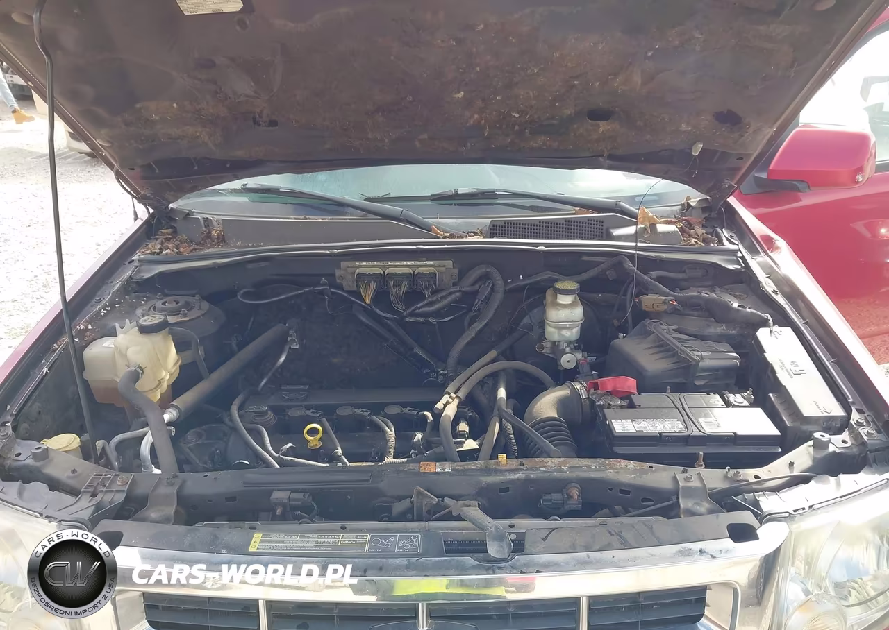 2009 Ford Escape Limited VIN:1FMCU04789KA43233 - 10