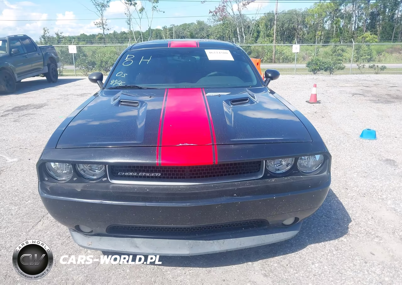 2014 Dodge Challenger Rallye Redline VIN:2C3CDYAG8EH123550 - 12